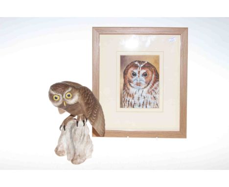 Spode model of a Little Owl: together with a watercolour of an owl by Mike Woodcock