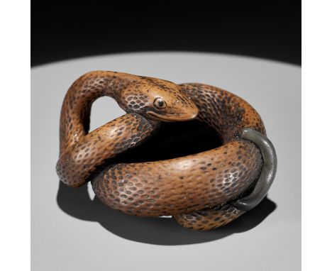 A LARGE AND POWERFUL WOOD NETSUKE OF A COILED SNAKE WITH AN INLAID SLUG BY TOMOKAZUJapan, 18th century, Edo period (1615-1868