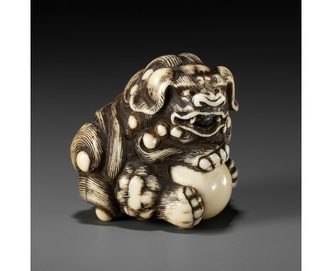 GYOKUZAN: AN IVORY NETSUKE OF A SHISHIBy Gyokuzan, signed Gyokuzan 玉山Japan, Kyoto, late 18th century, Edo period (1615-1868)F