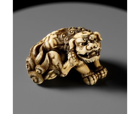 TOMOTADA: A SUPERB IVORY NETSUKE OF A RECUMBENT SHISHI SCRATCHING ITS JOWLBy Izumiya Tomotada, signed Tomotada 友忠Japan, Kyoto