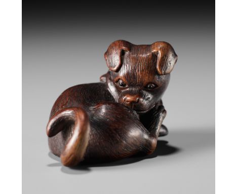 TAMETAKA: A FINE WOOD NETSUKE OF A PUPPYBy Tametaka, signed Tametaka 為隆Japan, Nagoya, late 18th century, Edo period (1615-186