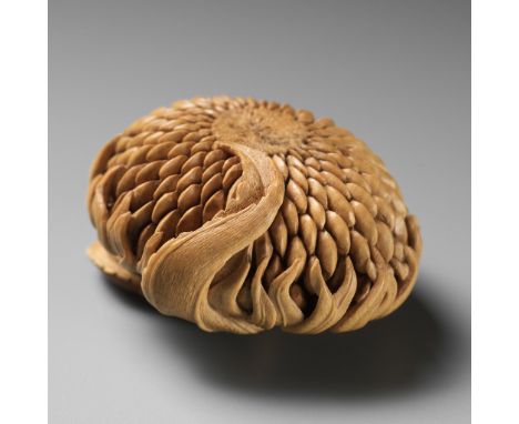 GUY SHAW: SUNFLOWERBy Guy Shaw (1951-2003), signed with the artist's initial GSEngland, 1994The large, wilted flower head of 