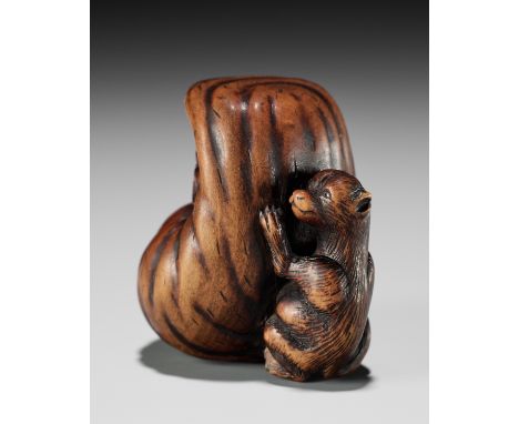 ISSHINSAI: A HUMOROUS WOOD NETSUKE OF TANUKI WITH A MAGICAL DARUMA DOLL SCROTUM  By Isshinsai Masanao, signed Isshinsai 一心齋Ja