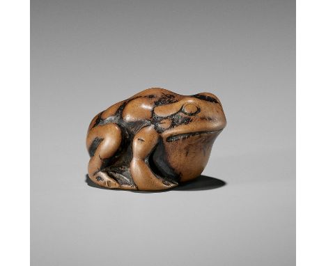 AN EARLY WOOD NETSUKE OF A TOADUnsigned Japan, 18th century, Edo period (1615-1868)   Published: Brockhaus, Albert (1905) Net