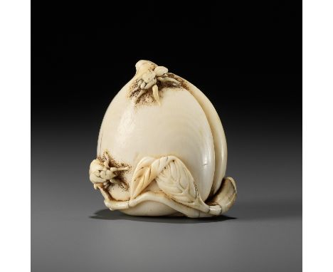 AN IVORY NETSUKE OF A PEACH WITH INSECTSUnsignedJapan, late 18th to early 19th century, Edo period (1615-1868)A beautifully w