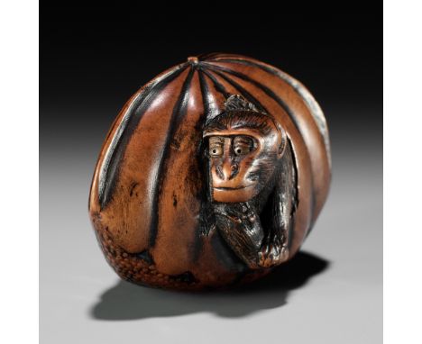 A FINE TANBA SCHOOL WOOD NETSUKE OF A MONKEY EMERGING FROM A CHESTNUTUnsignedJapan, Tanba province, 19th century, Edo period 