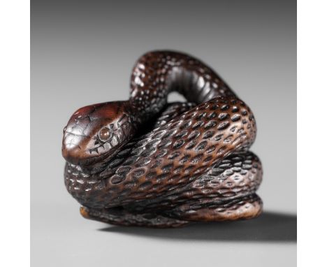 A SUPERB DARK WOOD NETSUKE OF A COILED SNAKEUnsignedJapan, Gifu or Nagoya, first half of 19th century, Edo period (1615-1868)