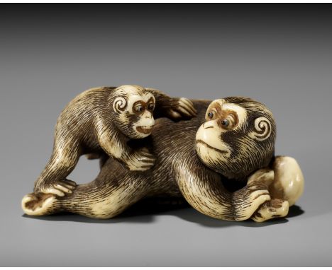 GARAKU: AN IVORY NETSUKE OF A MONKEY WITH YOUNGBy Risuke Garaku, signed Garaku 我乐Japan, Osaka, early 19th century, Edo period