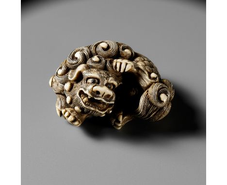A RARE HIPPOPOTAMUS TOOTH NETSUKE OF A SHISHI SCRATCHING ITSELFCircle of Garaku, unsignedJapan, Osaka, late 18th to early 19t