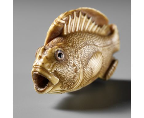 ANDO RYOKUZAN: A SUPERB IVORY NETSUKE OF A FLOUNDER AND ROCKFISHBy Ando Ryokuzan (1885-1955), signed Ryokuzan 緑山Japan, Tokyo,