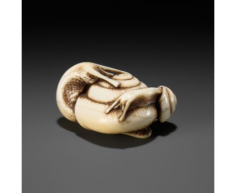 A FINE IVORY NETSUKE DEPICTING A PAIR OF SNAILSUnsignedJapan, 19th century, Edo period (1615-1868)Finely carved as two snails