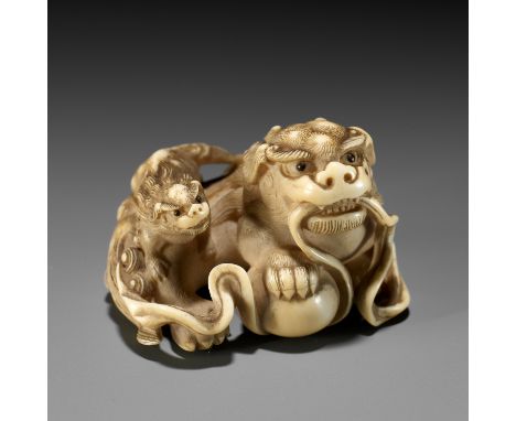 HAKURYU: A FINE IVORY NETSUKE OF A SHISHI AND YOUNGBy Unsho Hakuryu II, signed Unsho Hakuryu 雲松 白龍Japan, Kyoto, 19th century,