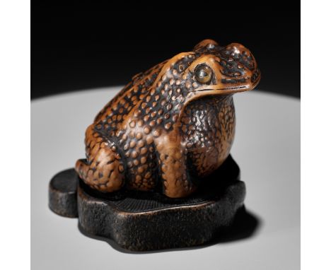 A LARGE AND UNUSUAL WOOD NETSUKE OF A TOADBy Masatomo, signed Masatomo 正友Japan, Nagoya, first half of 19th century, Edo perio