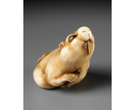 NIKITA STRUKOV: BEAVERBy Nikita Strukov, signed with the artist's mark 古丁 北卯Russia, 21st centuryFinely carved from walrus tus