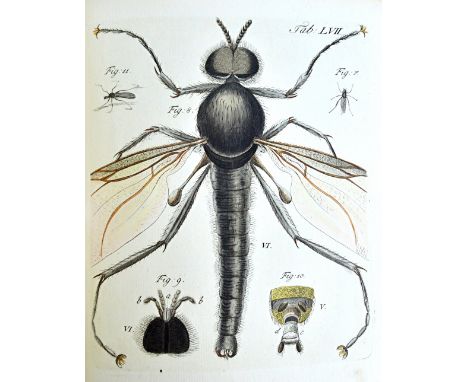 GLEICHEN (W.F.)  Auserlesene Mikroscopische Entdeckungen bey den Planzen, Blumen and Bluthen, Inseckten und andern Merkwurdig