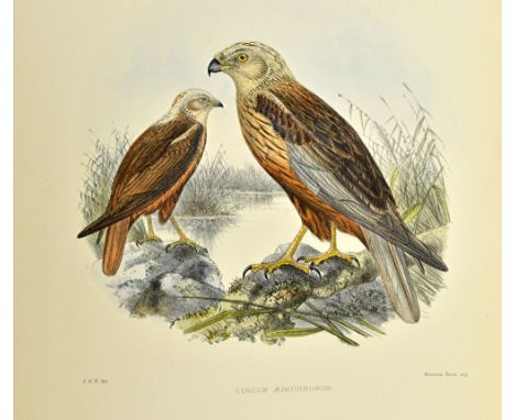 WYATT (C.W.)  British Birds: being coloured illustrations of all the species of passerine birds resident in the British Isles