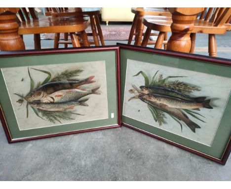 Pair of vintage fish raised out pictures together with vintage fish print 