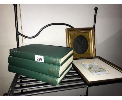 3 books on Lincoln by J W F Hill, a Christopher Wren plaque from cathedral and framed print of the castle