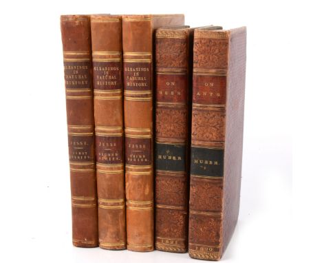 M P Huber, The Natural History of Ants, Translated from the French, London 1820, calf, also Huber, New Observations on The Na