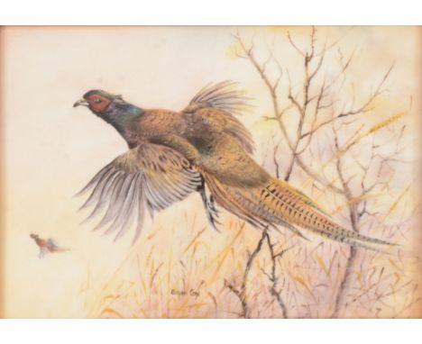 Royal Worcester painted porcelain plaque, pheasant in flight, by Brian Cox, 11.5x16.5cm, framed.