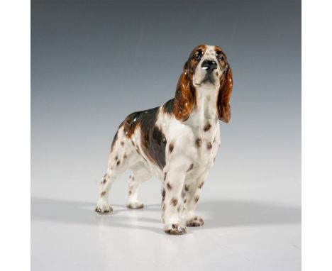 Hand painted standing Springer Spaniel h. Dry Toast with light and dark coloration. Gloss finish. Royal Doulton backstamp in 