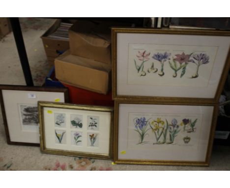 A FRAMED AND GLAZED SIGNED LIMITED EDITION PRINT THE GIANT SEEDER AT ROUTON CASTLE TOGETHER WITH PRINTS ETC 