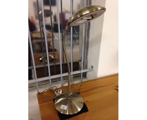 A flexible head desk lamp.