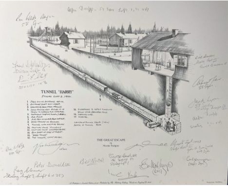 Nicolas Trudgian Black and White 14. 5x12 Print Titled The Great Escape. Limited edition 108/200. Multi Signed in pencil by B