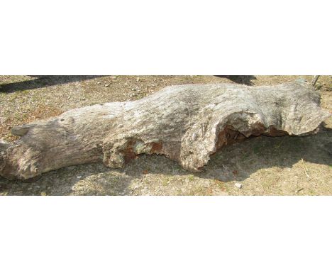 A softly weathered oak trunk, 250 cm in length 