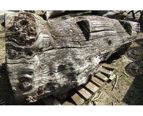A large naturally weathered tree trunk, 180cm long approx 