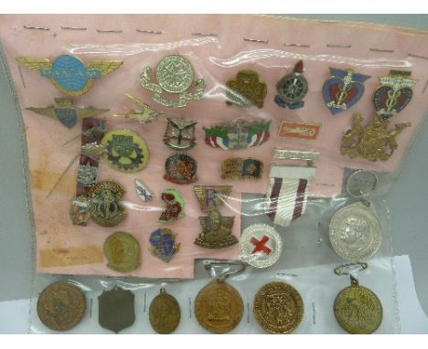 Enamel badges and medals, including South African