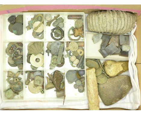 A large collection of metal detector finds, stone age, flint axe heads, polished stone axe head, fossils, etc.