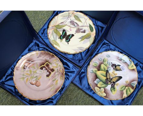 Set of 3 Boxed Exotic Butterflies Hand painted by D R Bowkett Studio DRB Devon 