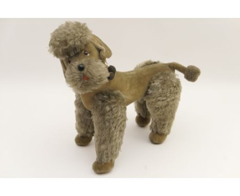 Steiff French Poodle, with glass eyes, rotating head, original collar with bells, length 39cm