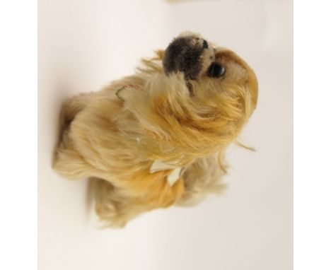 Steiff Pekingese puppy 'Peky', original collar label, height 15cm