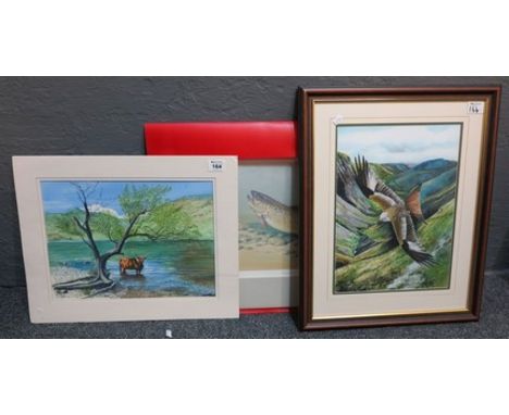 Mary Bradley (Welsh late 20th Century), study of a red kite in flight over Snowdonia, watercolours, framed. Another signed K.