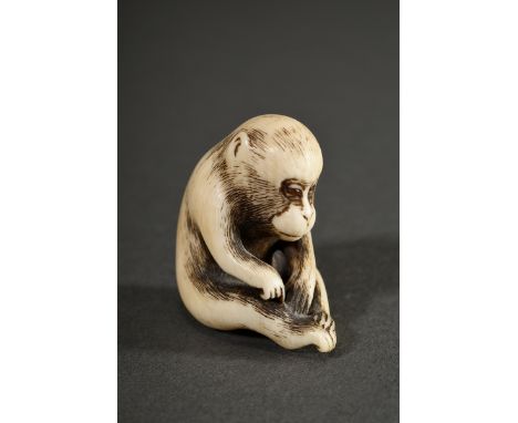 Elfenbein Netsuke "Sitzender sich lausender Affe" mit eingelegten Bernstein Augen, unleserlich sign., natürliche Himotoshi, J