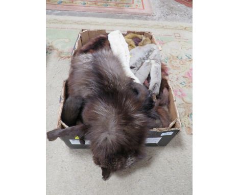 A TRAY OF VINTAGE FUR STOLES / COLLARS TO INCLUDE A FOX FUR STOLE ETC