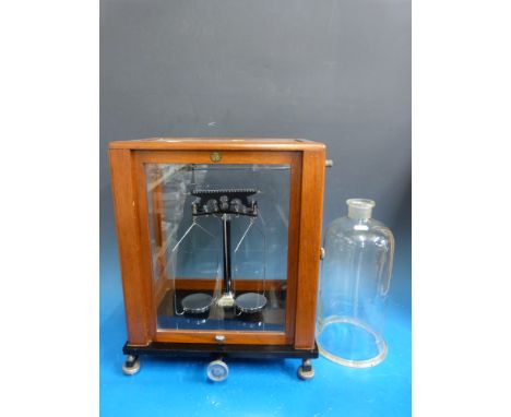 A Baird & Tatlock laboratory balance scale in case and a glass cloche