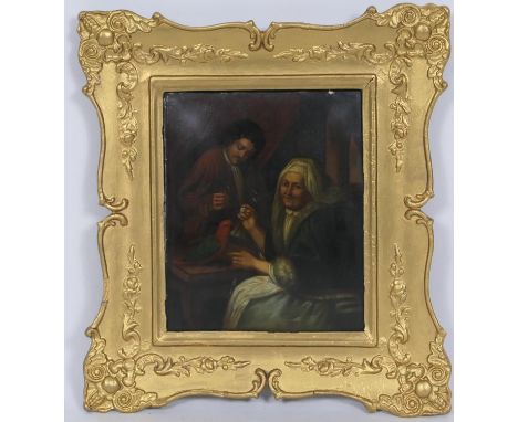After Godfried Schalcken, a pet grey parrot, oil on cushion form copper panel, 20cm x 16.5cm 