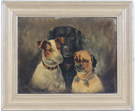 Charles Dudley (active late 19th Century), The three Graces, a three dog portrait, signed oil on canvas, titled verso, 36cm x