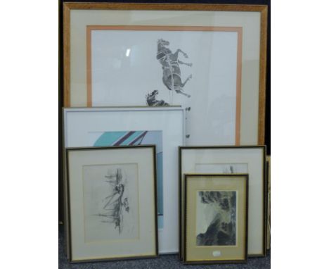 A quantity of various pictures and prints.