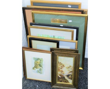 A quantity of various pictures and prints.