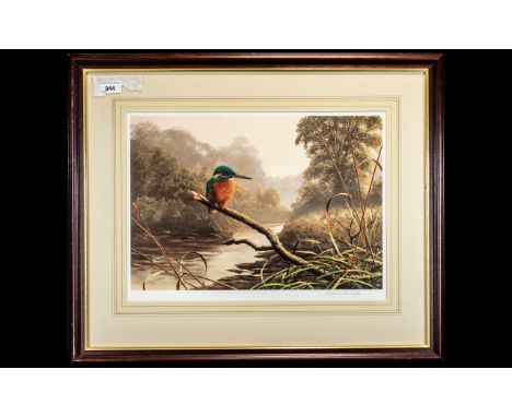Adrian Rigby: Pencil Signed Print of a Kingfisher, well executed picture of a kingfisher on branch, signed bottom right, with