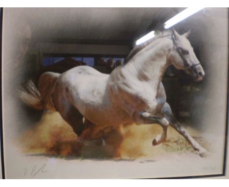 FRAMED GLAZED AND SIGNED LTD ED PRINT (20/195) TITLED 'GALLOPING STALLION' AFTER DARREN BAKER (47X43)CM