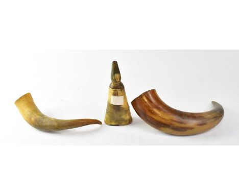 A 19th century horn powder flask with threaded cap, height 18cm and two cow horns (3).