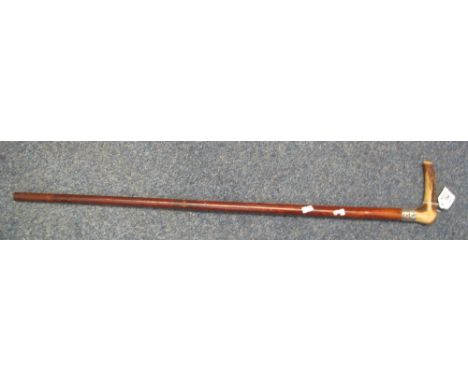 Gentleman's stained walking stick having horn handle and silver scroll design collar.(B.P. 24% incl. VAT)