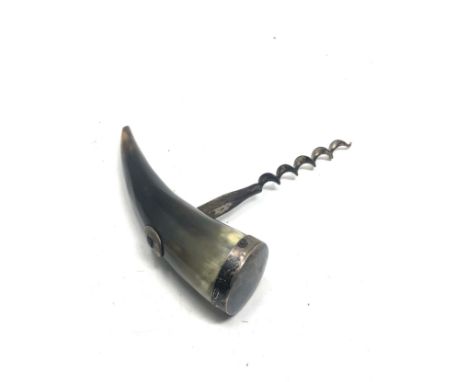 Scottish silver mounted horn corkscrew 