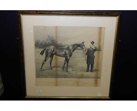 Framed and mounted print of race horse Persimmon, the property of H. R. H The Prince of Wales, winner of the Derby stakes at 