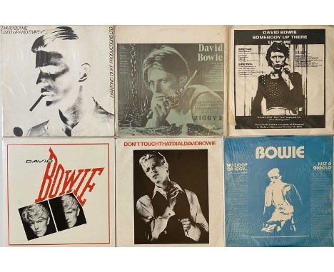 DAVID BOWIE - PRIVATE FAN RELEASE LPs. Another fab pack of 11 x limited edition private fan release LPs from The Thin White D